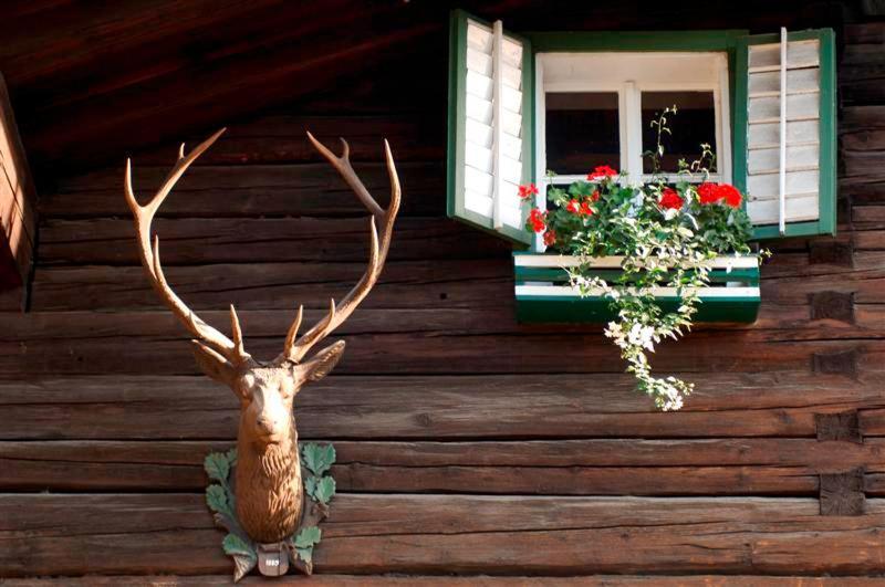 Hotel Gasthof Markterwirt อัลเทนมาร์คท์ อิม พองเงา ภายนอก รูปภาพ